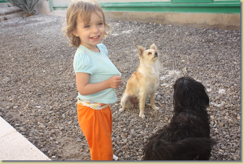 Diapositiva siguiente