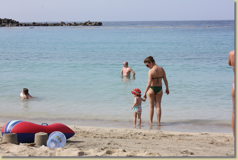 Diapositiva siguiente