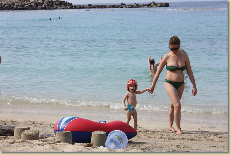 Diapositiva siguiente