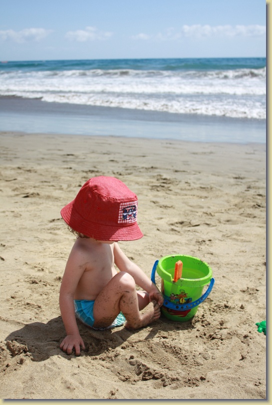 Diapositiva siguiente