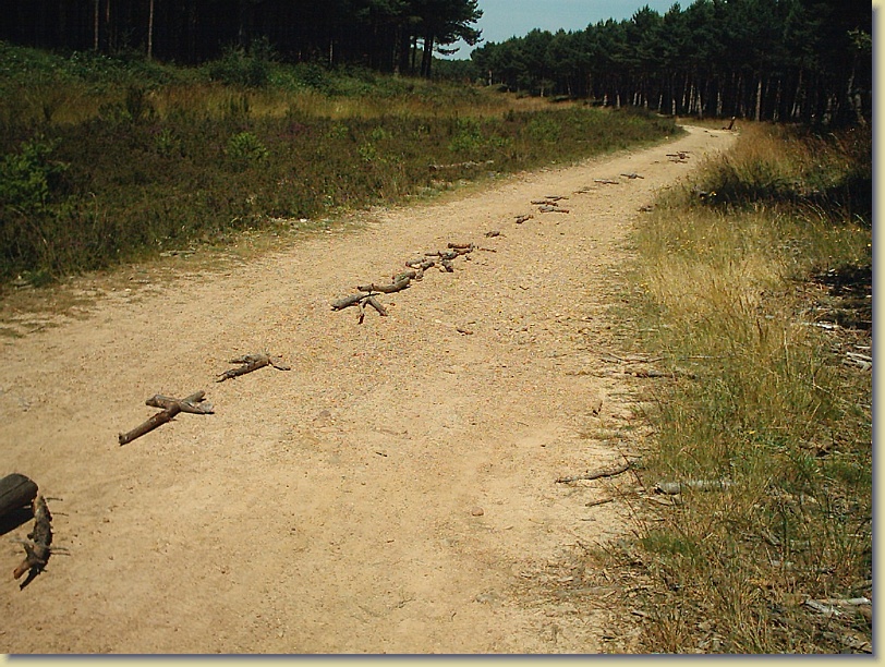 Diapositive suivante