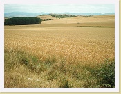 IM000021 * Nom du fichier : IM000021.JPG
Taille du fichier : 531.9 Ko (544645 octets)
Date : N/A
Taille de l'image : 1152 x 864 pixels
Résolution : 72 x 72 ppp
Profondeur en bits : 8 bits/canal
Attribut de protection : Désactivé
Attribut Masqué : Désactivé
ID de l'appareil : N/A
Appareil : N/A
Mode de qualité : N/A
Mode de mesure : Multispots
Mode d'exposition : N/A
Speed Light : Non
Distance Focale : 9.91 mm
Vitesse d'obturation : 1/93 seconde
Ouverture : F2.8
Correction d'exposition : 0 IL
Balance des blancs : N/A
Objectif : N/A
Mode Synchro-Flash : N/A
Différence d'exposition : N/A
Programme Décalable : N/A
Sensibilité : N/A
Renforcement de la netteté : N/A
Type d'image : Couleur
Mode Couleur : N/A
Saturation : N/A
Contrôle Saturation : N/A
Compensation des tons : N/A
Latitude (GPS) : N/A
Longitude (GPS) : N/A
Altitude (GPS) : N/A * 1152 x 864 * (525KB)