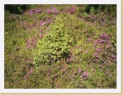 IM000058 * Nom du fichier : IM000058.JPG
Taille du fichier : 838.4 Ko (858471 octets)
Date : N/A
Taille de l'image : 1152 x 864 pixels
Résolution : 72 x 72 ppp
Profondeur en bits : 8 bits/canal
Attribut de protection : Désactivé
Attribut Masqué : Désactivé
ID de l'appareil : N/A
Appareil : N/A
Mode de qualité : N/A
Mode de mesure : Multispots
Mode d'exposition : N/A
Speed Light : Non
Distance Focale : 9.91 mm
Vitesse d'obturation : 1/118 seconde
Ouverture : F2.8
Correction d'exposition : 0 IL
Balance des blancs : N/A
Objectif : N/A
Mode Synchro-Flash : N/A
Différence d'exposition : N/A
Programme Décalable : N/A
Sensibilité : N/A
Renforcement de la netteté : N/A
Type d'image : Couleur
Mode Couleur : N/A
Saturation : N/A
Contrôle Saturation : N/A
Compensation des tons : N/A
Latitude (GPS) : N/A
Longitude (GPS) : N/A
Altitude (GPS) : N/A * 1152 x 864 * (832KB)