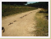 IM000059 * Nom du fichier : IM000059.JPG
Taille du fichier : 444.2 Ko (454894 octets)
Date : N/A
Taille de l'image : 1152 x 864 pixels
Résolution : 72 x 72 ppp
Profondeur en bits : 8 bits/canal
Attribut de protection : Désactivé
Attribut Masqué : Désactivé
ID de l'appareil : N/A
Appareil : N/A
Mode de qualité : N/A
Mode de mesure : Multispots
Mode d'exposition : N/A
Speed Light : Non
Distance Focale : 9.91 mm
Vitesse d'obturation : 1/167 seconde
Ouverture : F2.8
Correction d'exposition : 0 IL
Balance des blancs : N/A
Objectif : N/A
Mode Synchro-Flash : N/A
Différence d'exposition : N/A
Programme Décalable : N/A
Sensibilité : N/A
Renforcement de la netteté : N/A
Type d'image : Couleur
Mode Couleur : N/A
Saturation : N/A
Contrôle Saturation : N/A
Compensation des tons : N/A
Latitude (GPS) : N/A
Longitude (GPS) : N/A
Altitude (GPS) : N/A * 1152 x 864 * (438KB)