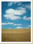 Im000054 * 864 x 1152 * (218KB)