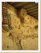 Im000075 * 864 x 1152 * (273KB)