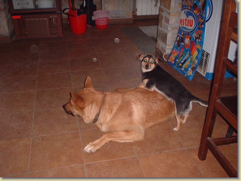 Diapositive suivante