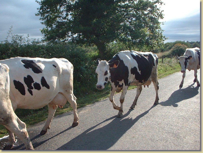 Diapositive suivante