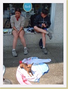 Dscf3118 * 960 x 1280 * (251KB)